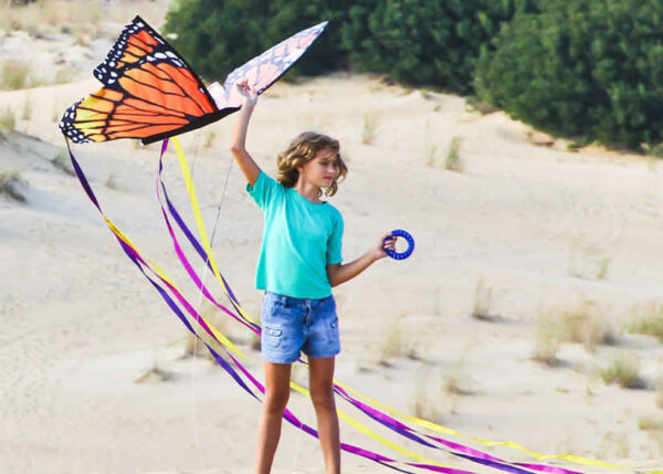 HQ Butterfly Monarch L – Bild 2