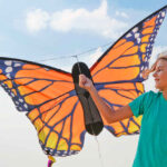 HQ Butterfly Monarch L