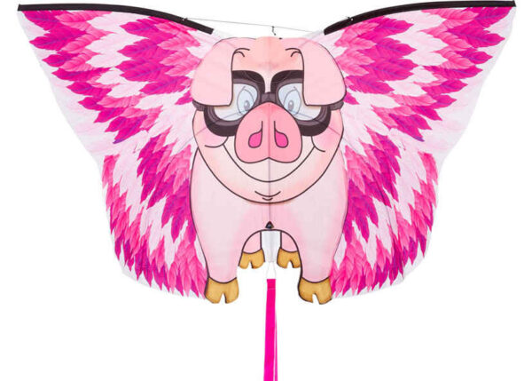 HQ FC Kite Flying Floyd P.I.G. – Bild 3