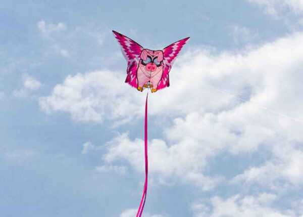 HQ FC Kite Flying Floyd P.I.G. – Bild 2