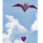 HQ FC Kite Dark Fang Bat Kite - Afbeelding 3
