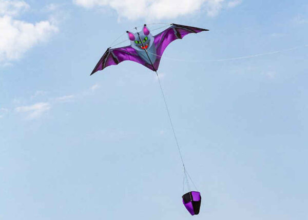 HQ FC Kite Dark Fang Bat Kite – Bild 2