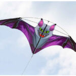 HQ FC Kite Dark Fang Bat Kite