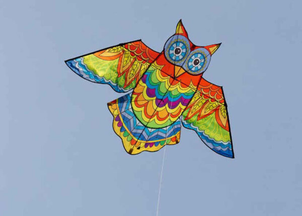 HQ FC Kite Jazzy Owl – Bild 2