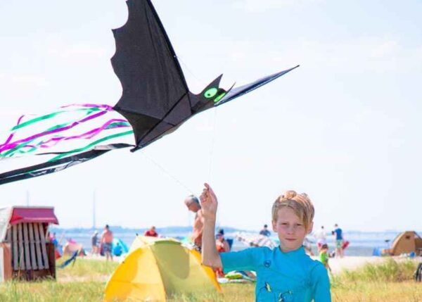 HQ FC Kite Bat Schwarz L – Bild 3