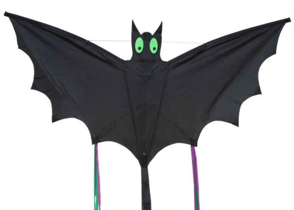 HQ FC Kite Bat Schwarz L – Bild 5