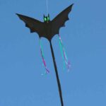 HQ FC Kite Bat Black L