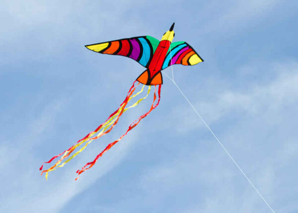 HQ FC Kite Tropical Bird – Bild 2