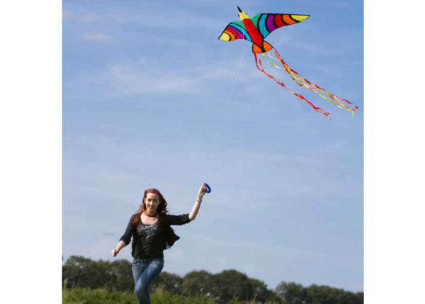 HQ FC Kite Tropical Bird – Bild 3