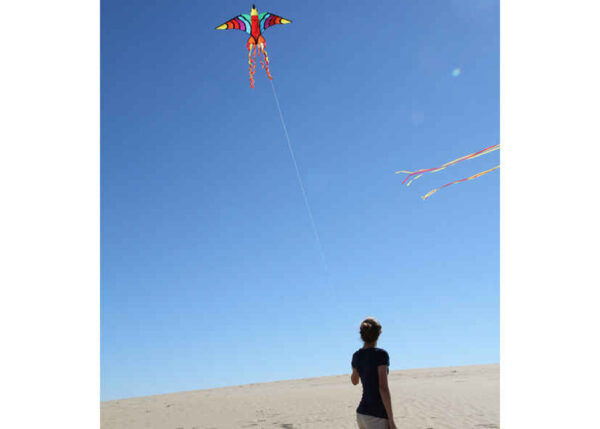 HQ FC Kite Tropical Bird – Bild 5