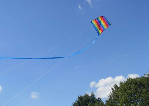 Acro Racer RAINBOW. Lenkdrachen – Bild 2