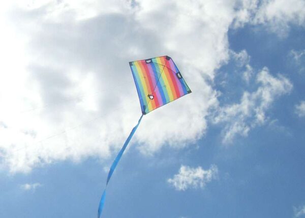 Acro Racer RAINBOW. Lenkdrachen – Bild 3