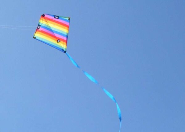 Acro Racer RAINBOW. Lenkdrachen – Bild 4