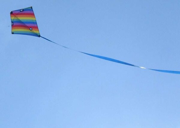 Acro Racer RAINBOW. Lenkdrachen – Bild 6