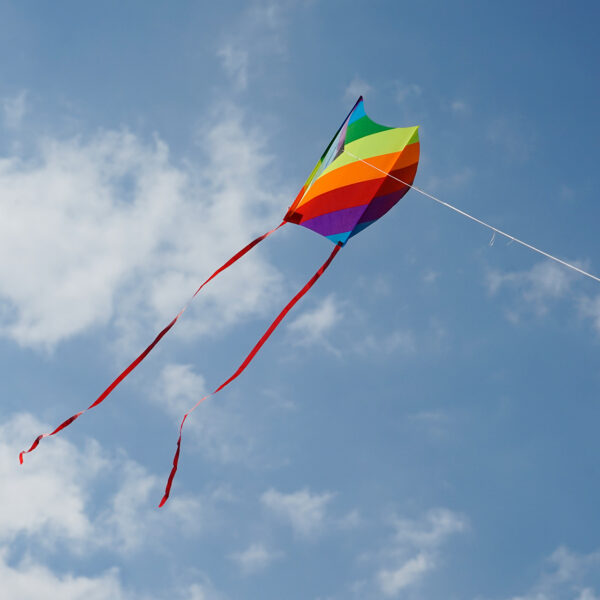 Mini Sled CLASSIC RAINBOW - Afbeelding 3
