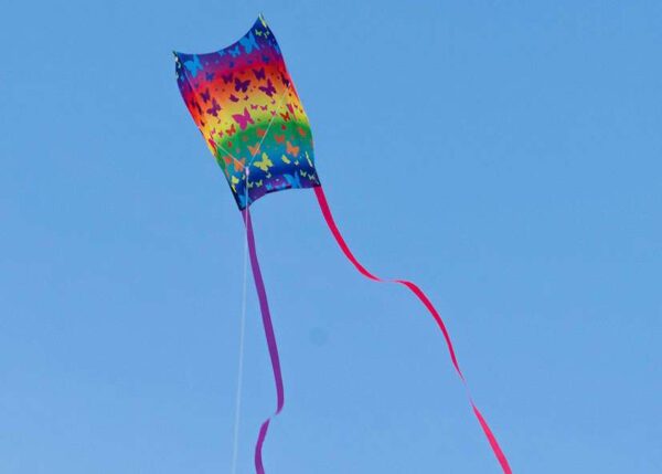 Mini Sled BUTTERFLY – Bild 2