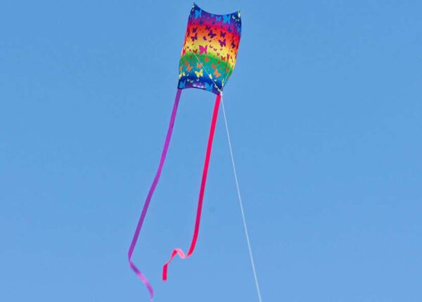 Mini Sled BUTTERFLY – Bild 3