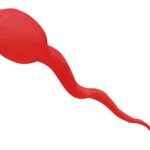 CiM WindSock Kaulquappe – Bild 5