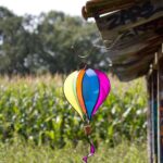 WIN HA Balloon 23 MiniRainbow Twist - Afbeelding 2