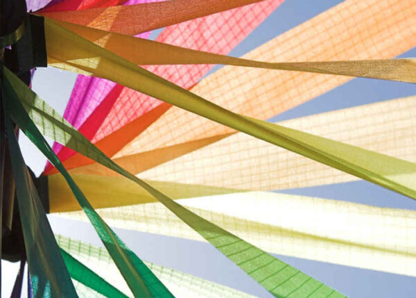 WIN Magic Wheel 63 Giant Duett Rainbow – Bild 5