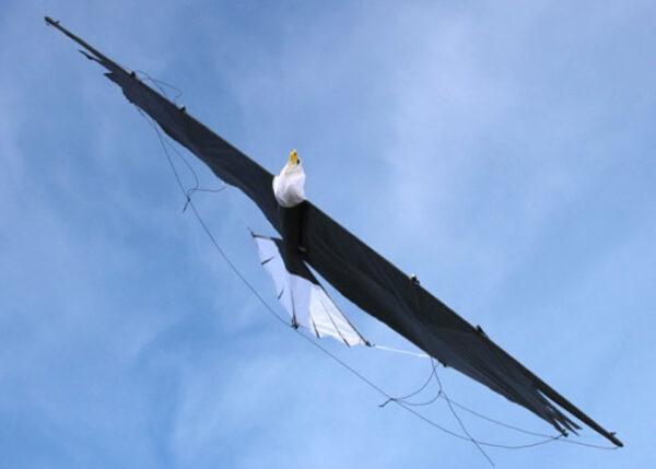 Revolution ADLER – Bild 9