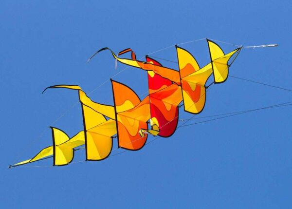 HQ Hoffmanns BowKite Sunrise – Bild 4