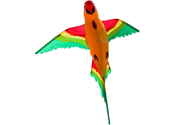 HQ 3D Drachenpapagei – Bild 7