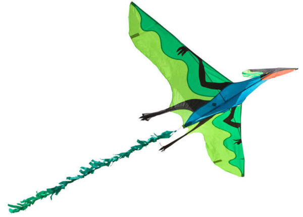 HQ 3D-Drachenfliegender Dinosaurier – Bild 7