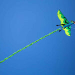 HQ 3D Kite Flying Dinosaur - Afbeelding 2