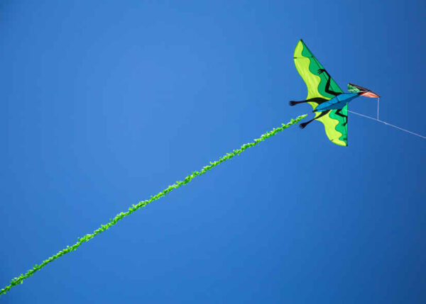 HQ 3D-Drachenfliegender Dinosaurier – Bild 2