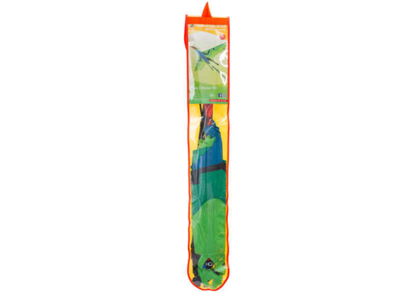 HQ 3D-Drachenfliegender Dinosaurier – Bild 5