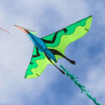 HQ 3D Kite Flying Dinosaur