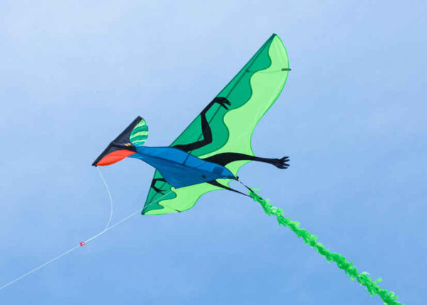 HQ 3D-Drachenfliegender Dinosaurier – Bild 3
