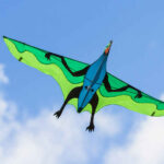 HQ 3D Kite Flying Dinosaur - Afbeelding 6