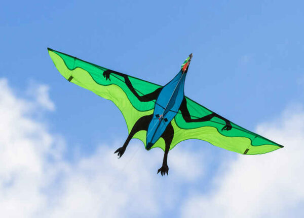 HQ 3D-Drachenfliegender Dinosaurier – Bild 6