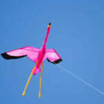 HQ 3D-Drachen-Flamingo – Bild 2