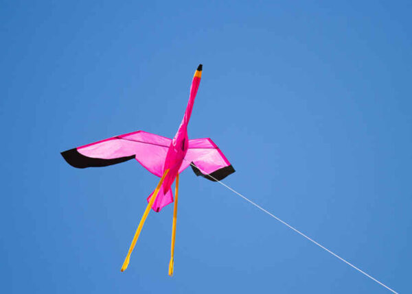 HQ 3D Kite Flamingo - Afbeelding 2