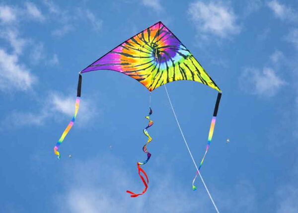 HQ Delta Rainbow Rider XL – Bild 2