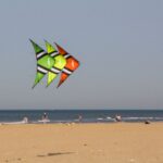 Speedwing X1 – Klassischer Power-Lenkdrachen – Bild 24