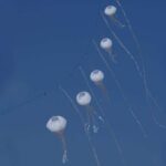 CiM Jellyfish / Kwal - Afbeelding 2
