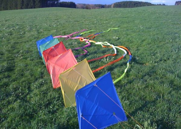 Acro Racer UNI. Lenkdrachen – Bild 3