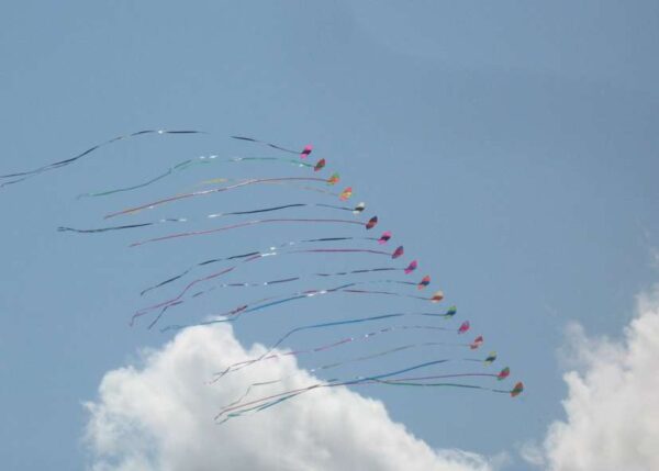 Acro Racer MULTI. Lenkdrachen – Bild 2
