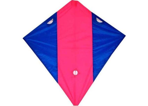 Acro Racer MULTI. Lenkdrachen – Bild 3