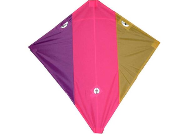 Acro Racer MULTI. Lenkdrachen – Bild 4