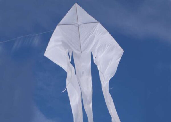 F-Tail DELTA XXL PYRO / WHITE - Afbeelding 2