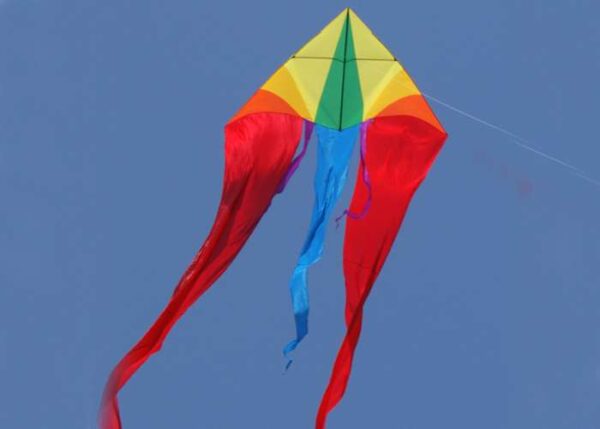 F-Leitwerk DELTA XXL RAINBOW – Bild 2