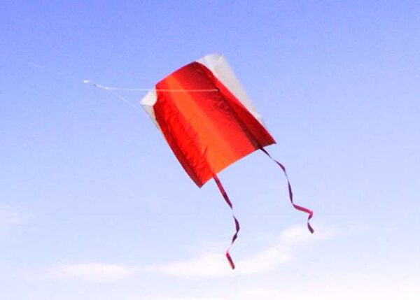 Funny Tube Kite 2 - Afbeelding 2