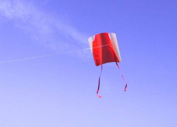 Lustiger Tube Kite 3 – Bild 3