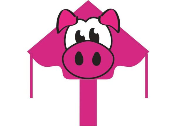 HQ Eco Simple Flyer 120 Piggy – Bild 2
