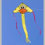 HQ Eco Simple Flyer 85 Ducky